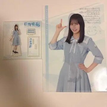 히나타자카46 복권 마츠오 사쿠라 아크릴 스탠드/클리어 파일 세트