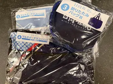 히나타자카46 복권 사코슈 2종 + 접이식 백