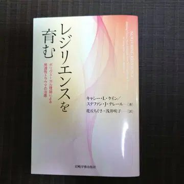 회복탄력성을 키우는 폴리베이걸 이론에 따른 발달성 트라우마의 치유