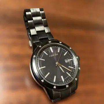 손목시계 CITIZEN GN4W-S
