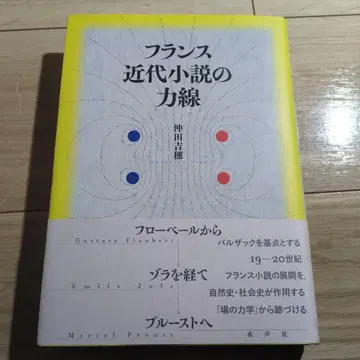 프랑스 근대 소설의 역선