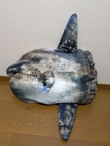 거대 개복치 봉제 인형