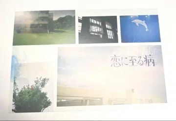 사랑에 이르는 병 영화 인터뷰 영상 시청 혜택 포함 감성 엽서