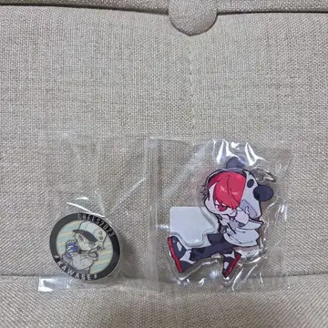 rion KAWASE Crazy Raccoon 아크릴 키링