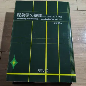 현상학의 전개 카네코 사다토