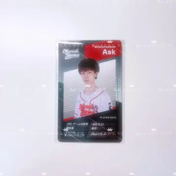 vcj 플레이어 카드 ask