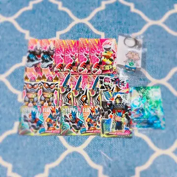 가면라이더 이그제이드 간바라이징 카드 호죠 에무