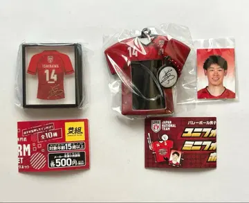 이시카와 유키 가챠 남자 배구