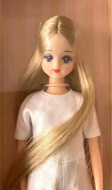 리카짱 캐슬 제니&프렌즈 클럽 구 미개봉 새상품