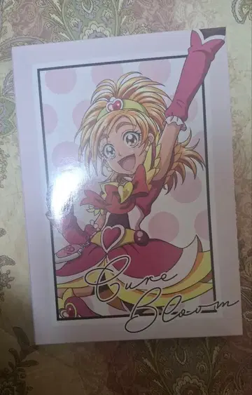 빛의 전사 프리큐어 Splash Star 아트 프레임 컬렉션