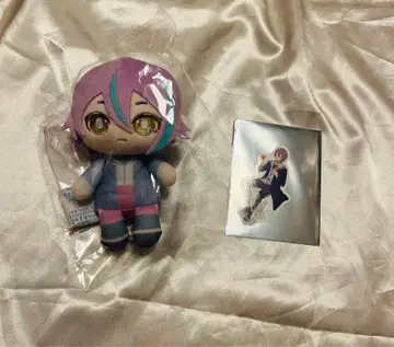 프로세카 카미시로 루이 묶음 판매