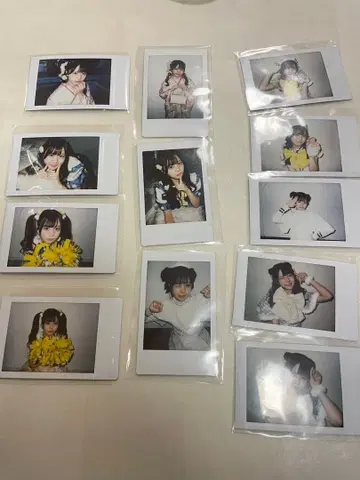 iLife 후쿠마루 토끼 란 폴라로이드 묶음 판매