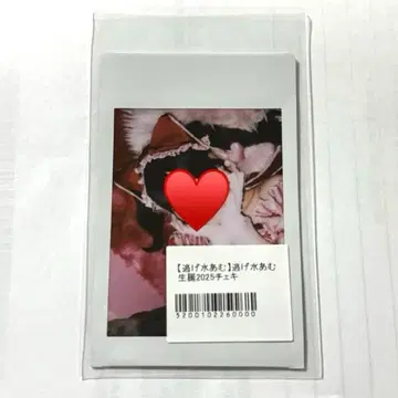 니게미즈 아무 생일 2025 폴라로이드 큐루링 해봐