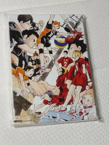 하이큐!! 아트 보드 사제