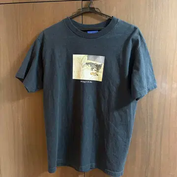 Lafayette 티셔츠 M 사이즈