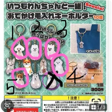 가챠가챠 언제나 강아지와 함께! 외출용 털 보관 키링 5개 세트