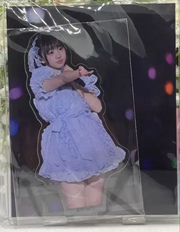 타카네노 나데시코 온라인 복권 스즈미 스우