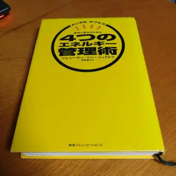 성공과 행복을 위한 4가지 에너지 관리술 멘탈 터프니스
