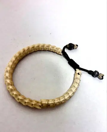 하자 있음 if six was nine 스네이크본 뱀뼈 팔찌