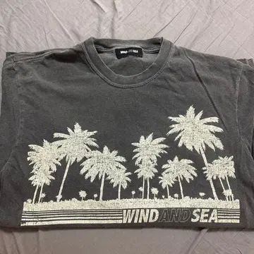 WIND AND SEA 팜트리 티셔츠 M