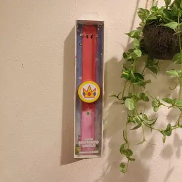 피치 공주 슈퍼 닌텐도 월드 파워업 밴드 USJ