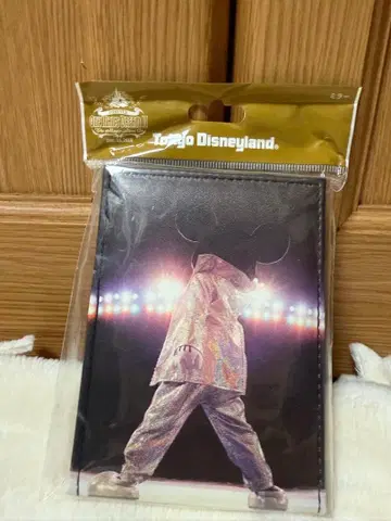 도쿄 디즈니랜드 패스 케이스