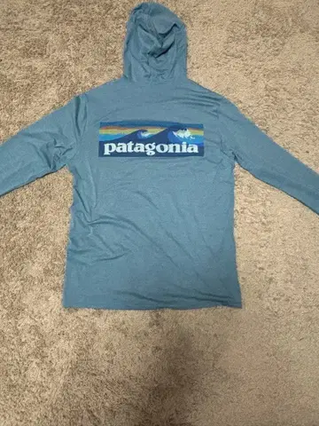Patagonia 캐플린 쿨 데일리 그래픽 후디