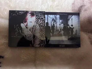 Acid Black Cherry 아크릴 마그넷 B