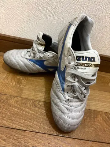 모렐리아 2JAPAN 한정판 색상