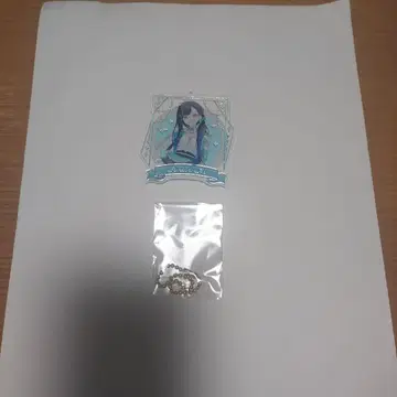 프로세카 5th Anniversary 감사제 아크링 키링 시로이시 안