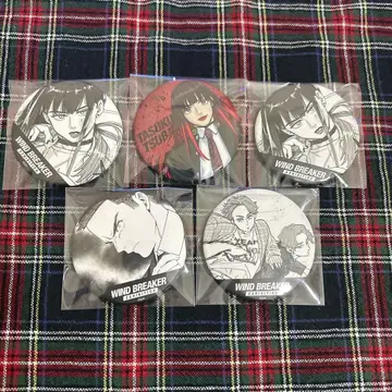 WIND BREAKER 전 시계 부품 캔뱃지, 글리터 캔뱃지 츠바키노