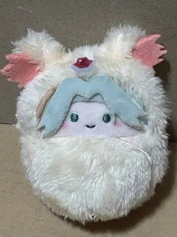 고쿠데라 하야토 싸개 타피누이