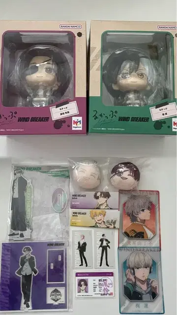 WINDBREAKER 사쿠라 하루카 소바야시 슌토