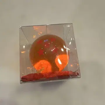 드래곤볼 오렌지 별 포함 케이스 포함