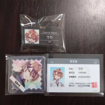 컬러풀 피치 우리 3점