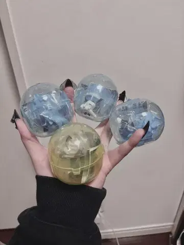 트위스테 어깨 쿵 이데아 오르토 잭