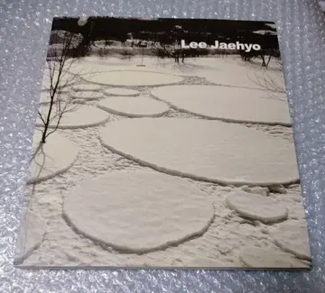 이재효 이재효  작품집 사인 포함 조각