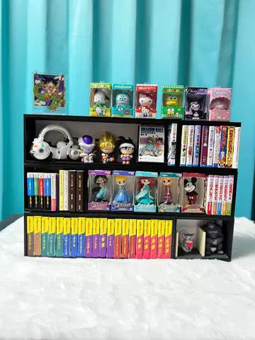 콩 책용 장식 책장