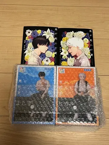 빛이 죽은 여름 피규어 + 소설