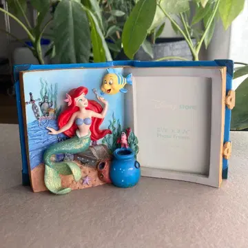 아리엘 북형 사진 액자 포토 프레임 단종 플라운더