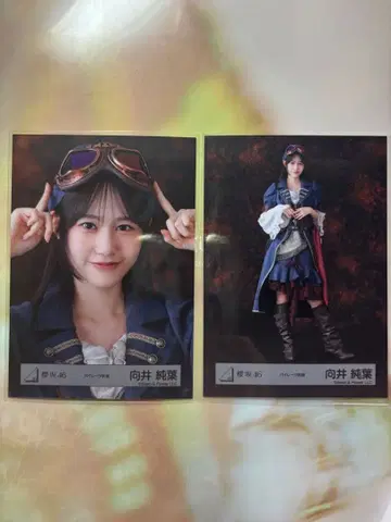 사쿠라자카46 무카이 이토하 파이리츠 요리, 히키