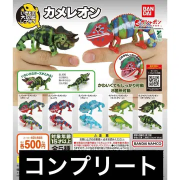 생물대도감 쁘띠 카멜레온