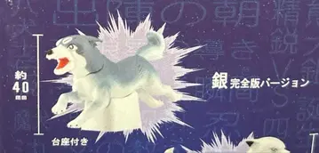 은아 -별똥별 은- 피규어 컬렉션 은 완전판 버전