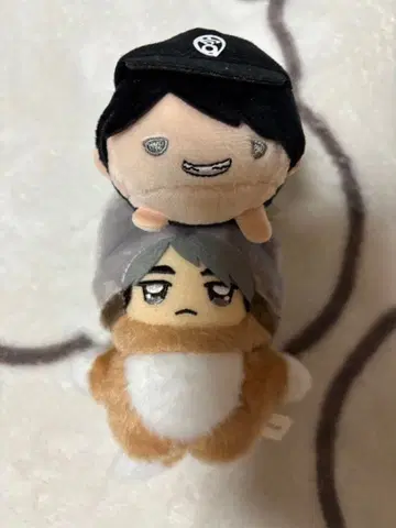 하이큐 치미케모 노루캬라 미야 오사무 세트