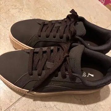 puma 카르멘 미야타테 료타