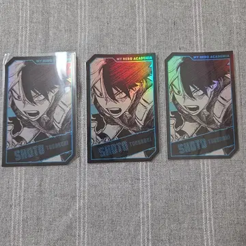 토도로키 쇼토 호로카 히로아카