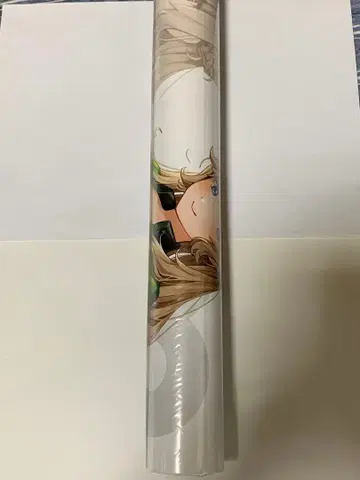 칸코레 후지 스피드웨이 콜라보 포스터 레인저