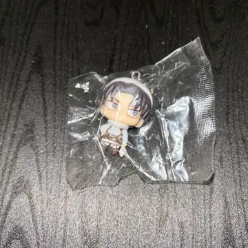 진격의 거인 카라코레 무빅 피규어 청소 리바이 레어