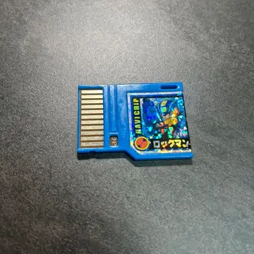 록맨 에그제 배틀칩 록맨 842