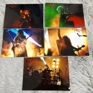 가제트 MASS 사진 세트